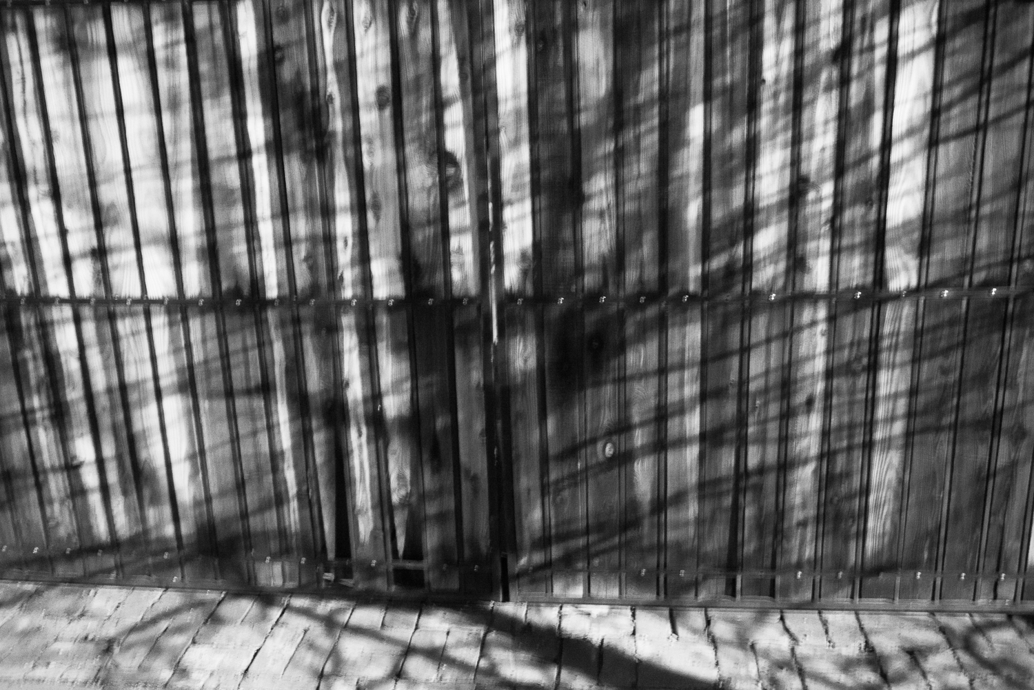 the truth is in shades of gray