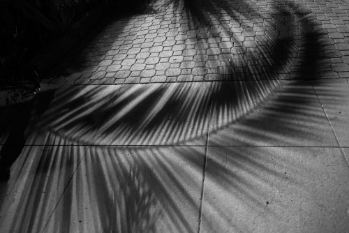 the truth in shades of gray