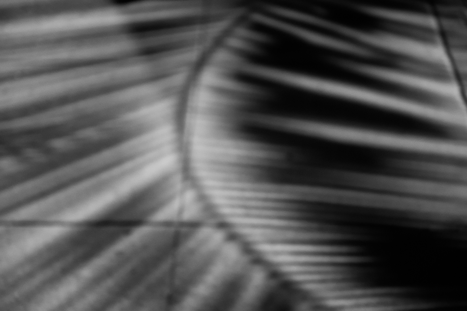 the truth is in shades of gray