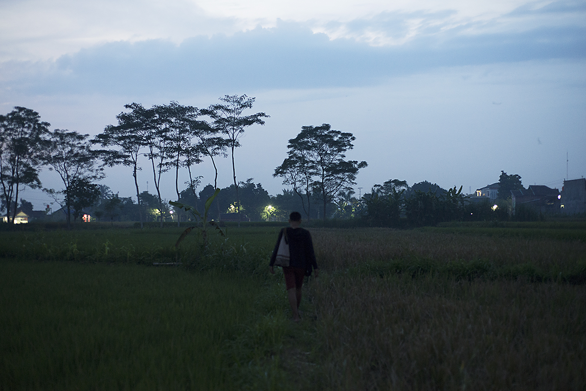 shadowy_uncertainty_rice_fields