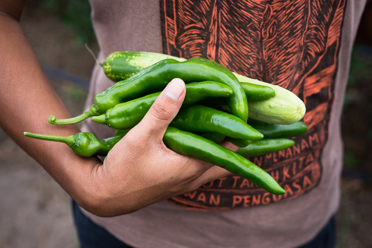 Farmers and farmer's markets make great subjects for a documentary photo project