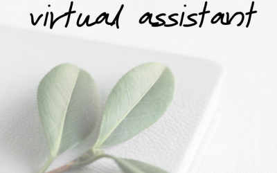 you should hire me to be your virtual assistant