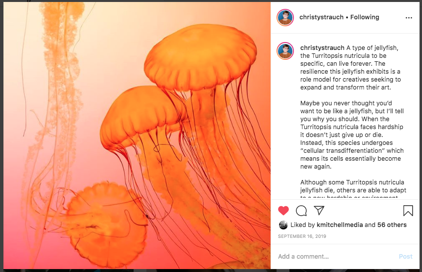 I help small business owners and creatives make compelling social media posts like this Instagram post with a jellyfish