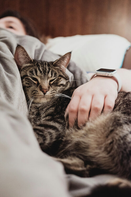 A white woman reclines in bed with her arm around a big and happy looking gray and white cat.