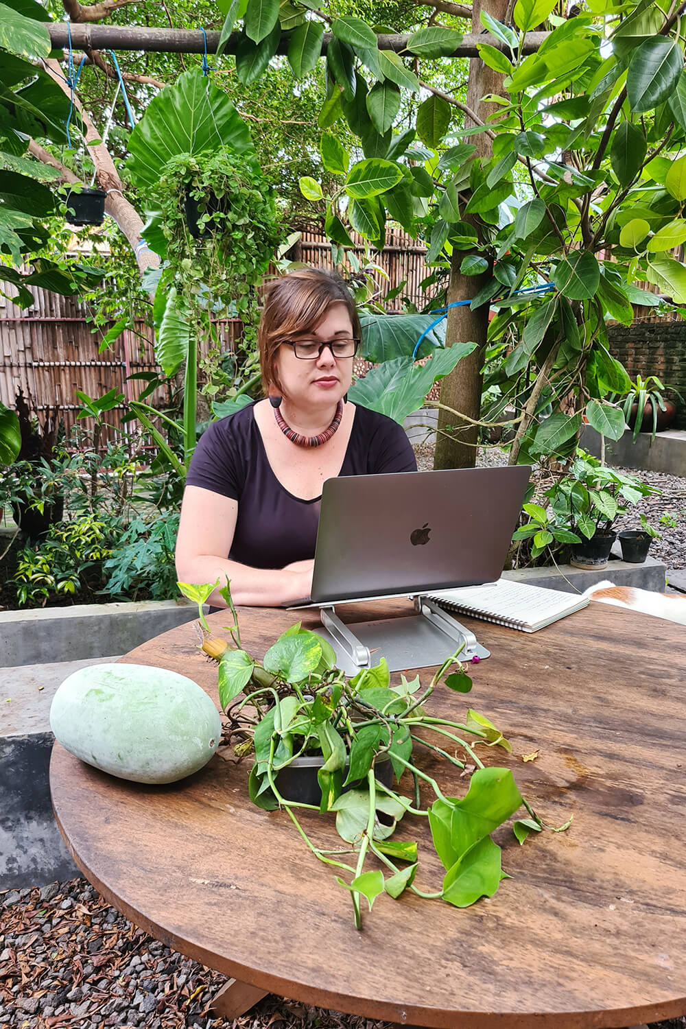 willow working on computer outside